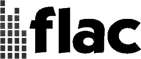 Pioneer flac Technology