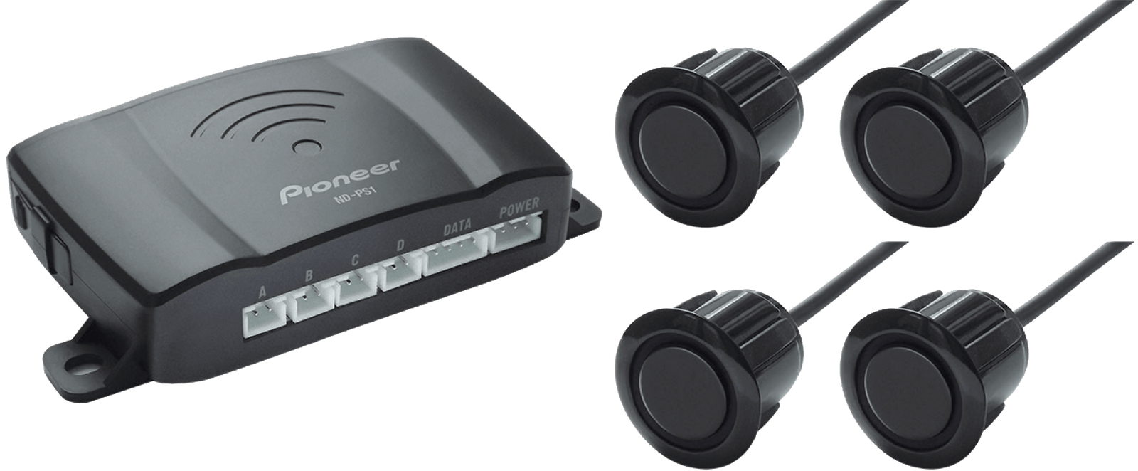 Pioneer