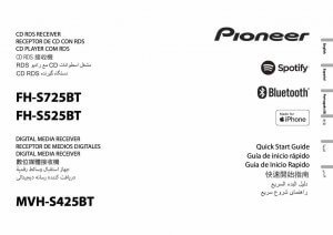 Pioneer