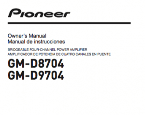 Pioneer
