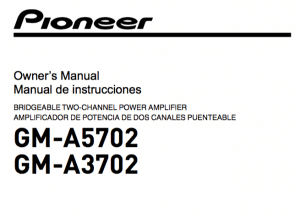 Pioneer